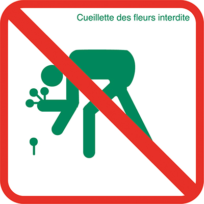 Pictogramme - Cueillette interdite