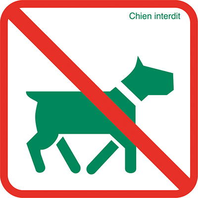 Pictogramme - Chien interdit