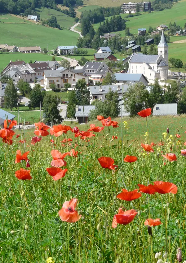 Corrençon-en-Vercors - village et coquelicots - été