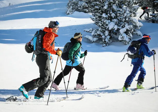 Ski de randonnée nordique entre amis - Vercors