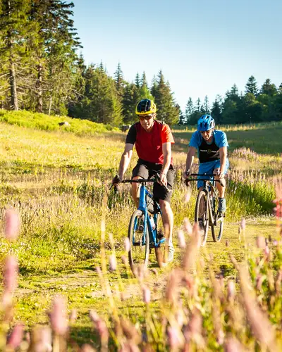 Rando VTT & Gravel