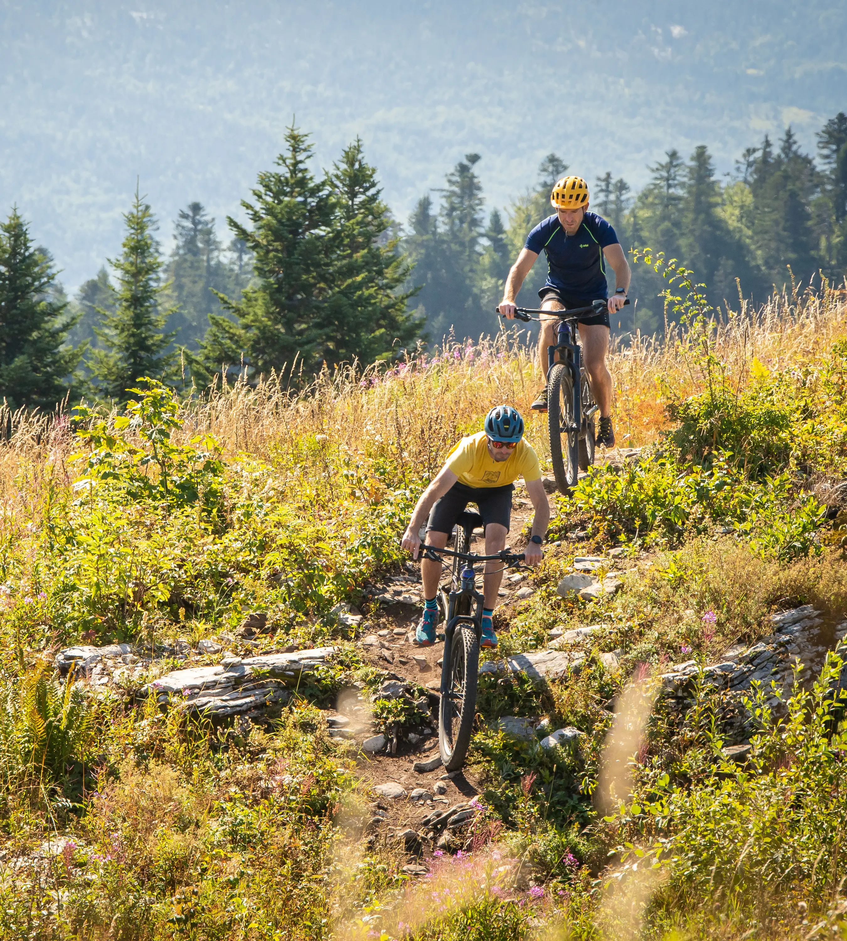 Velo dans le Vercors