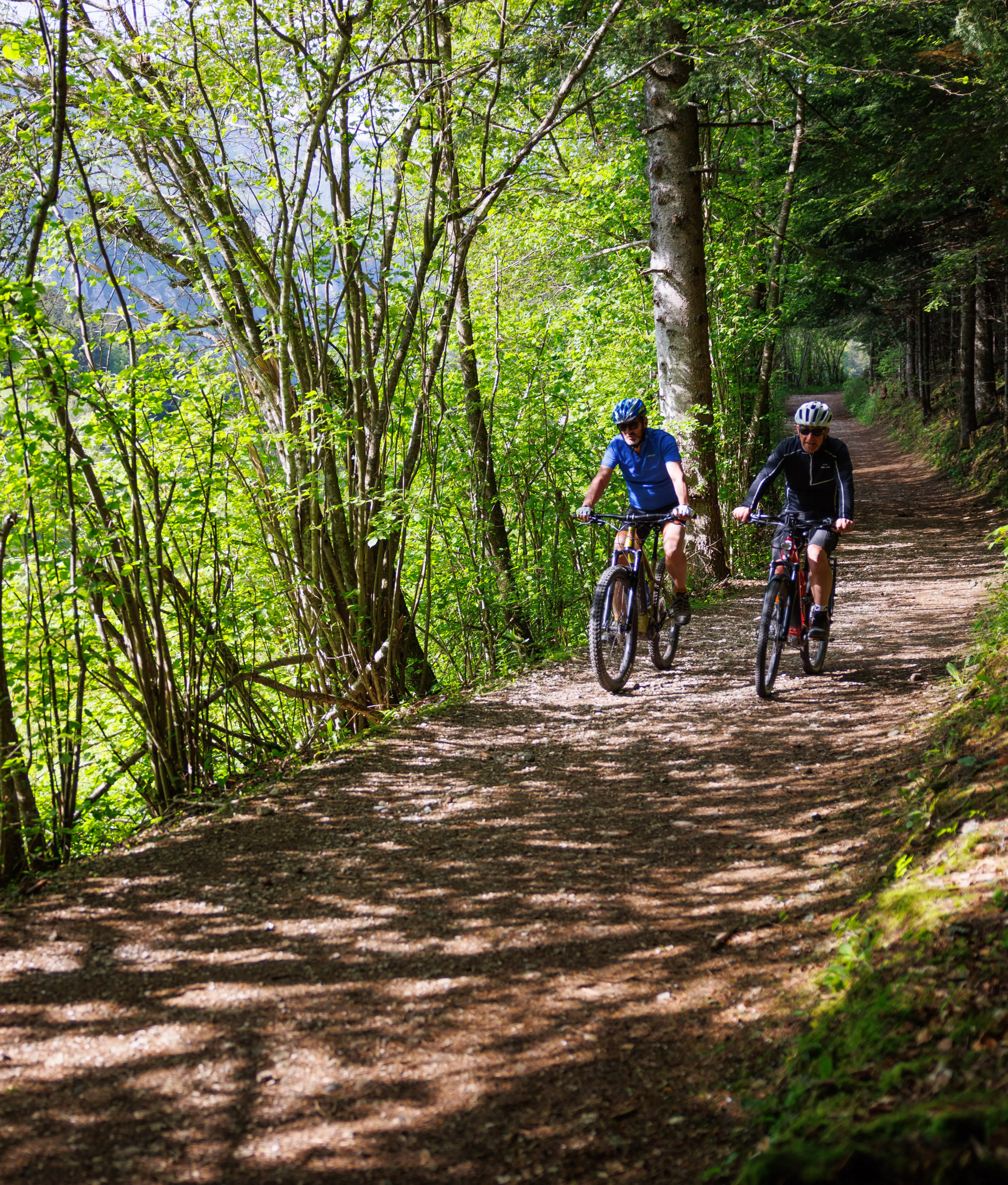 St Nizier Lans - Duo cycliste forêt - ViaVercors